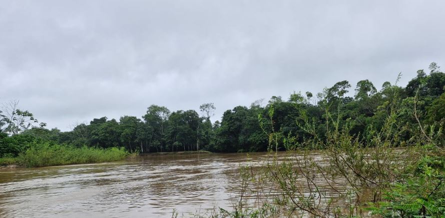 Rio Môa se aproxima do nível de alerta após chuvas intensas