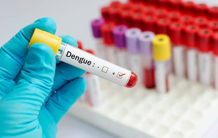 Rodrigues Alves têm aumento de 300% nas notificações de casos de dengue e registra 530 casos